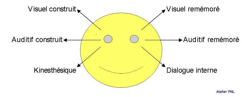 mouvements oculaires